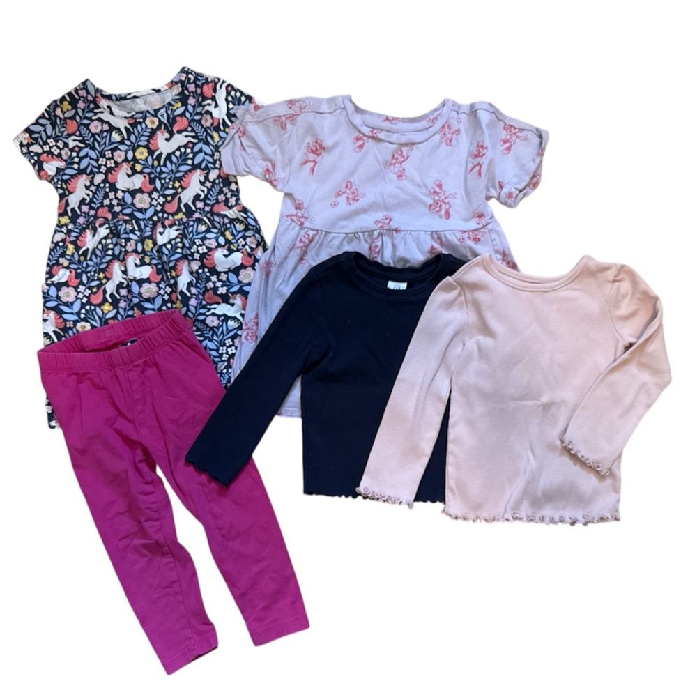 Toddler Girls Clothing Lot